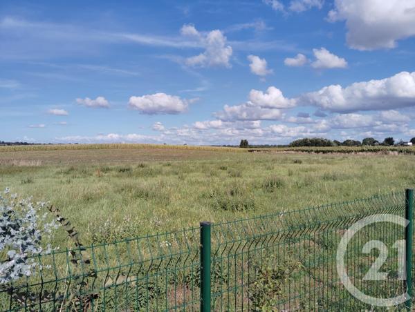 Maison à vendre  4 pièces - 71,53 m2 ST PAIR SUR MER - 50