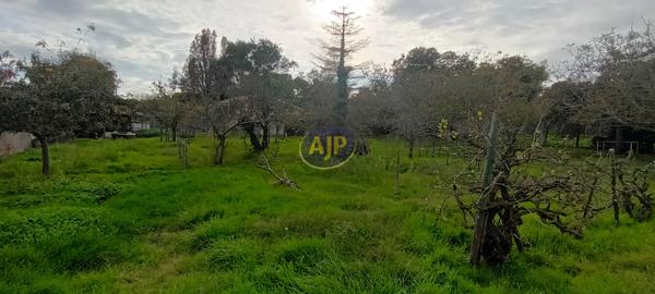 Vente terrain Soulac Sur Mer : 160 200 € - AJP Soulac Immobilier