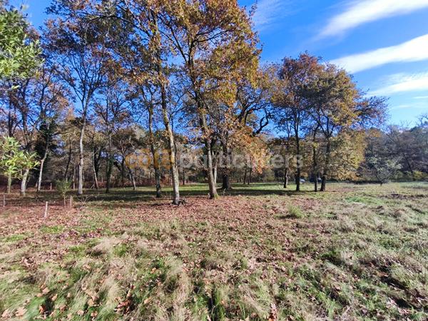 Vente
                Maison140 m² - 5 Pièces -
                    Mont de Marsan (40000)
