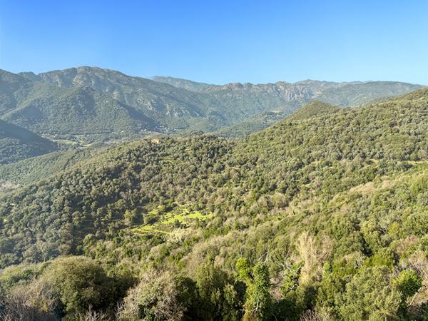 À VENDRE -Propriété de caractère 326 m² - Sainte-Lucie-de-Tallano
