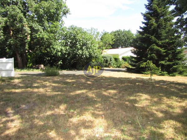 Vente terrain Lacanau : 234 000 € - AJP Lacanau Immobilier