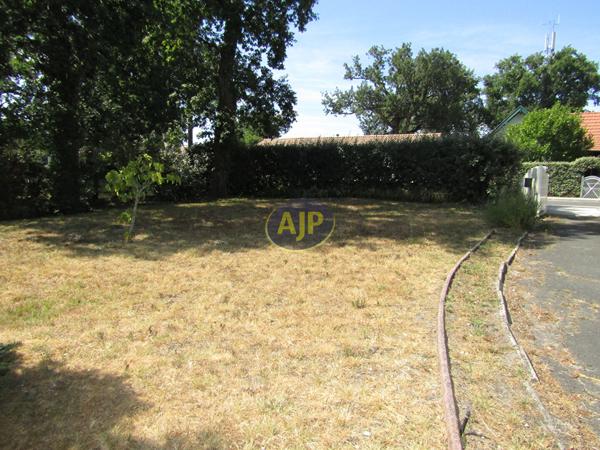 Vente terrain Lacanau : 234 000 € - AJP Lacanau Immobilier
