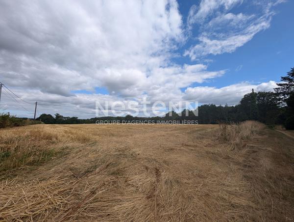 Propriété à vendre à MOUSTOIR AC surface habitable 197m² - 15 hectares de terrain