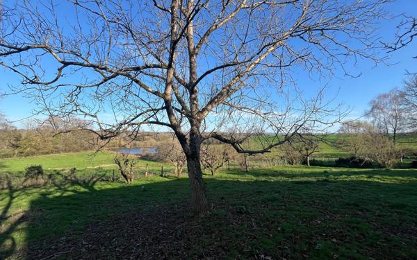 Maison à vendre    5 pièces •  Eyjeaux