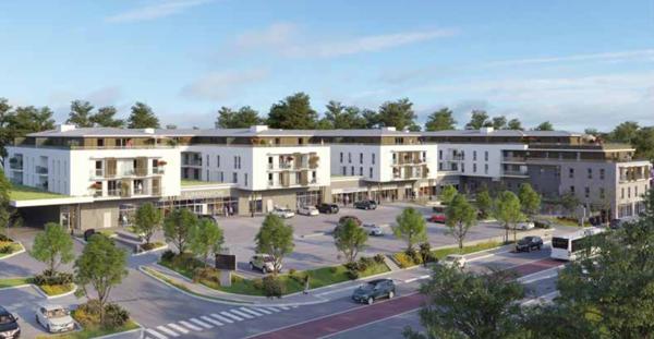 Appartement Deville Les Rouen 4 pièces + terrasses + parking