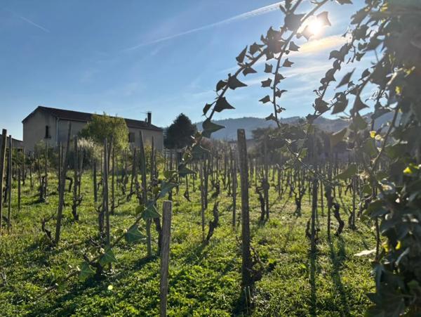 Maison à faire construire à Cornas (07130)