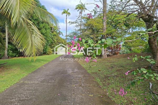 Propriété vue mer, T4 plain-pied, fort potentiel