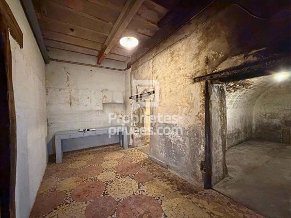 EXCLUSIVITE À VENDRE À SAVONNIÈRES 37510 : Maison (ensemble immobilier)  238 m2