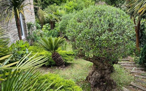 Maison à vendre    6 pièces •  Cherbourg-Octeville