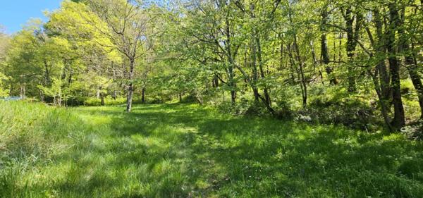 Vente Maison 10 pièces 191 m2 à Puivert