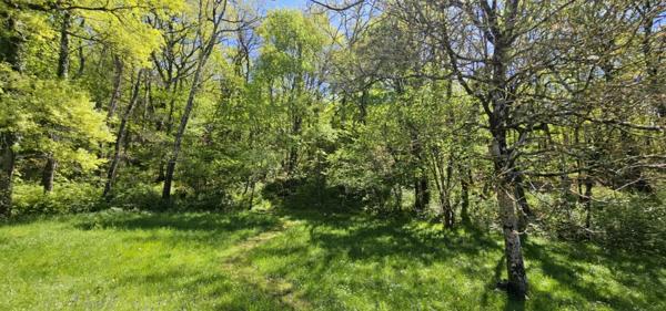 Vente Maison 10 pièces 191 m2 à Puivert