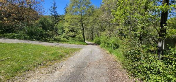 Vente Maison 10 pièces 191 m2 à Puivert