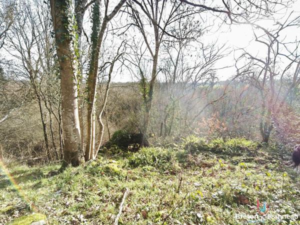 Corps de ferme sur 7 hectares à Saint Pierre des Nids