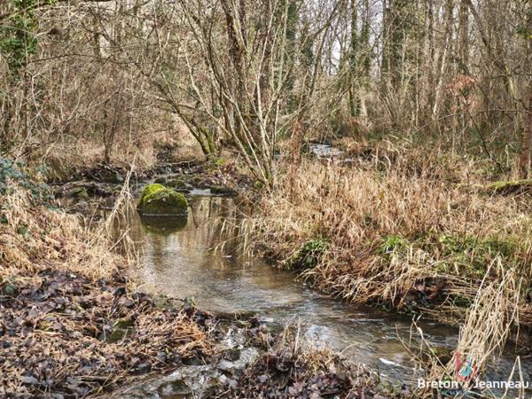 Corps de ferme sur 7 hectares à Saint Pierre des Nids