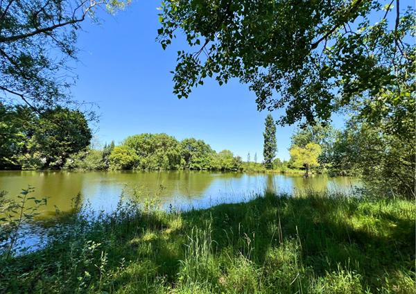 Ensemble immobilier sur un parc de 6 hectares !