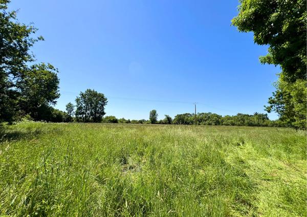 Ensemble immobilier sur un parc de 6 hectares !
