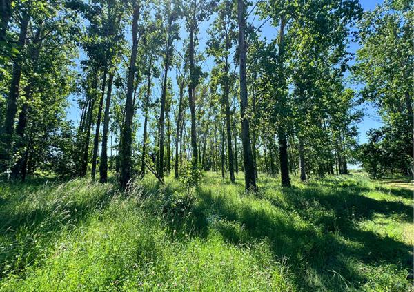 Ensemble immobilier sur un parc de 6 hectares !