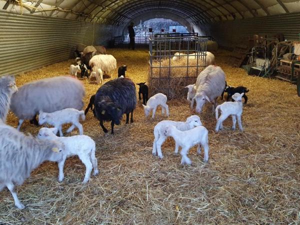 Terrain agricole dans le Parc Naturel Régional du Luberon