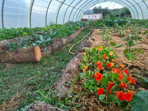 Terrain agricole dans le Parc Naturel Régional du Luberon