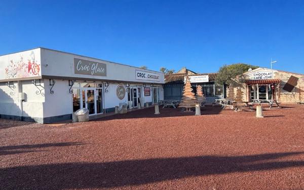 Maison à vendre    9 pièces •  Saint-Pierre-d'Oléron