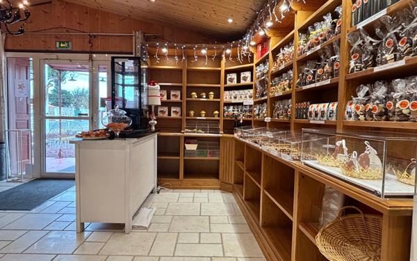 Maison à vendre    9 pièces •  Saint-Pierre-d'Oléron