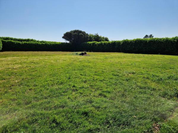 Terrain à LE CHAMP-SAINT-PERE, 85540 - 1765m²