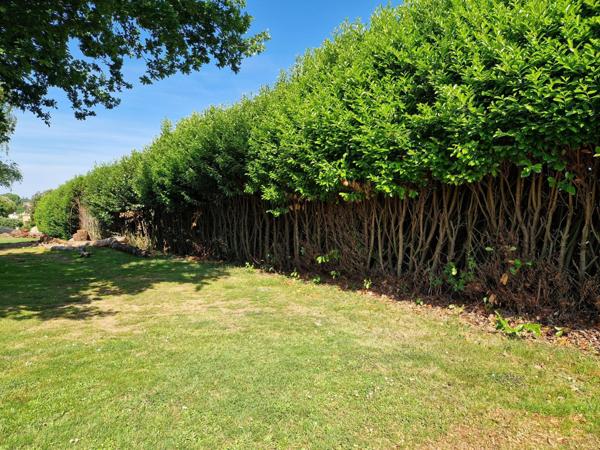 Terrain à LE CHAMP-SAINT-PERE, 85540 - 1765m²