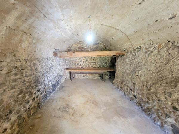 Charmante maison de village en pierres avec sous-sol et jardin