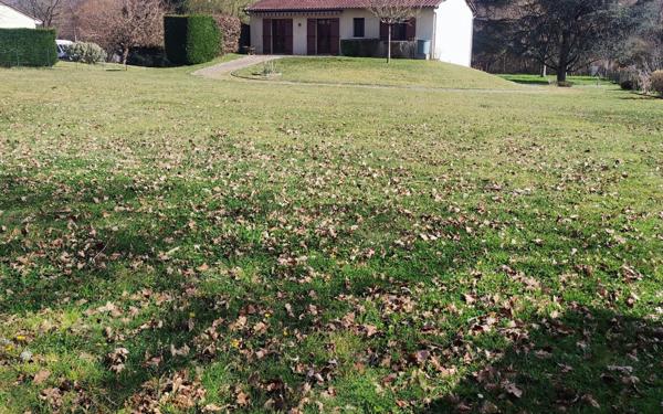 Maison à vendre    4 pièces •  Annesse-et-Beaulieu