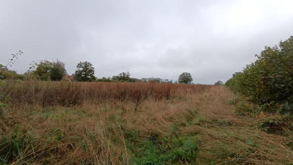 Terrain à bâtir de plus de 1 hectare