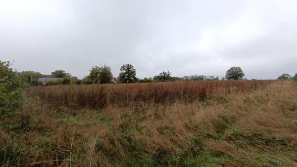 Terrain à bâtir de plus de 1 hectare
