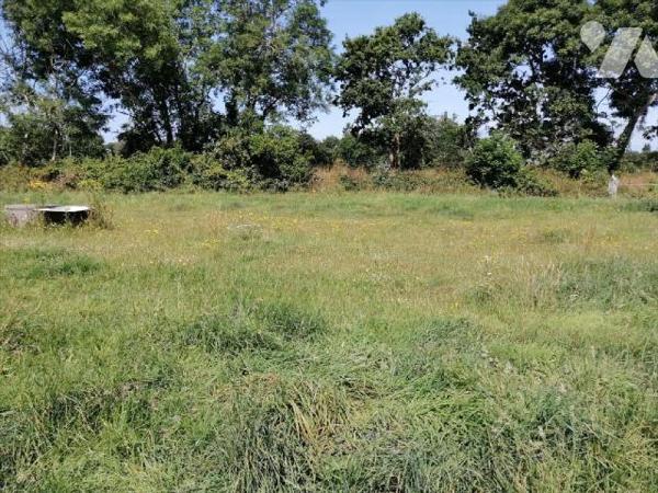 Terrain à bâtir d'environ 877 m² non viabilisé hors lotissement dont 806 m² constructible et 71...