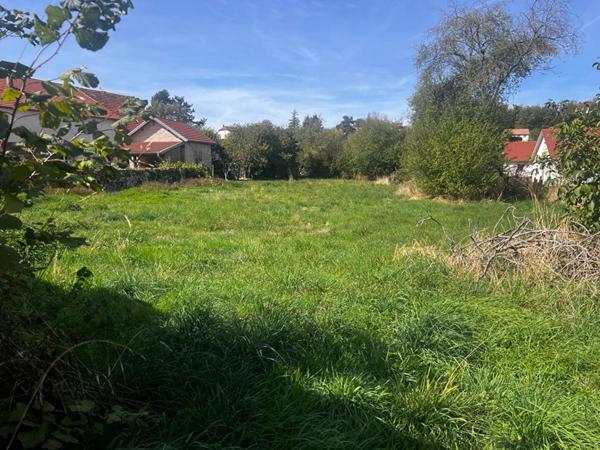 70190 - RECOLOGNE LES RIOZ - Terrain 1054 m² - Prix : 25000  honoraires charge vendeur