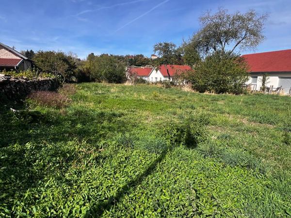70190 - RECOLOGNE LES RIOZ - Terrain 1054 m² - Prix : 25000  honoraires charge vendeur