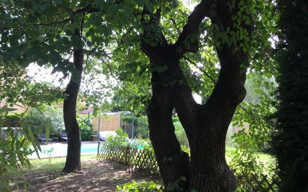 Maison à vendre    6 pièces • 193 m2 Vaison-la-Romaine