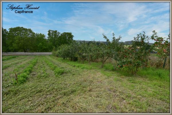 Dpt Ardennes (08), à vendre OLIZY PRIMAT terrain - Terrain de 4 770,00 m²