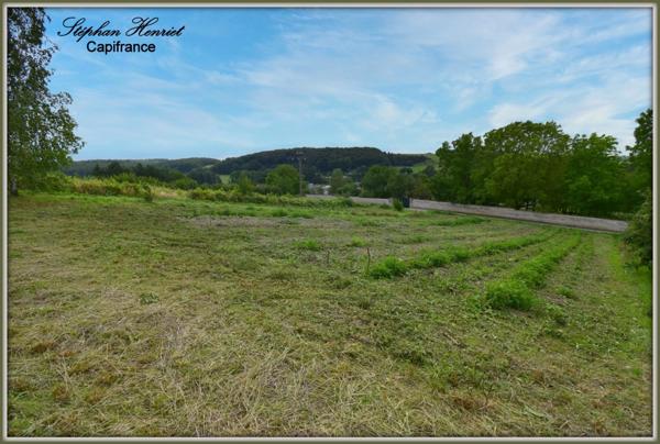 Dpt Ardennes (08), à vendre OLIZY PRIMAT terrain - Terrain de 4 770,00 m²