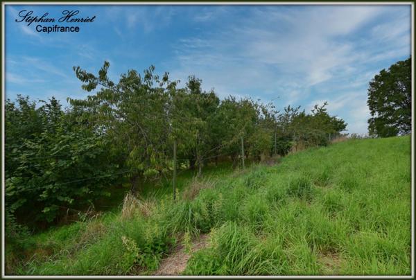 Dpt Ardennes (08), à vendre OLIZY PRIMAT terrain - Terrain de 4 770,00 m²