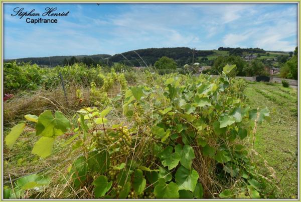 Dpt Ardennes (08), à vendre OLIZY PRIMAT terrain - Terrain de 4 770,00 m²