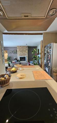 Maison à vendre à Saint-Hippolyte-du-Fort dans le Gard (30170), ref : 34019-448