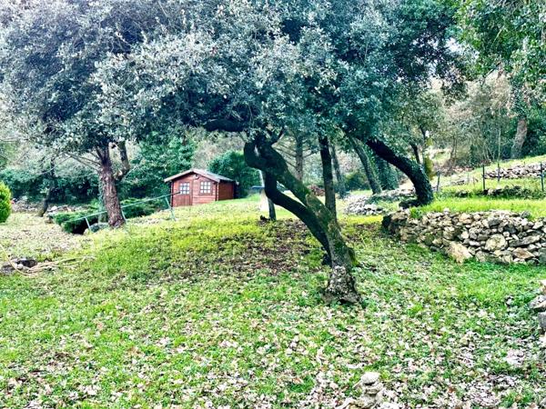 Tourves – Maison de charme de 160m2 avec garage de 23m2, cave et chalet sur 11 800 m² de terrain, au calme absolu