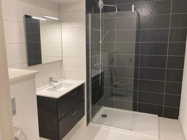 Appartement à louer à Nancy (54000)