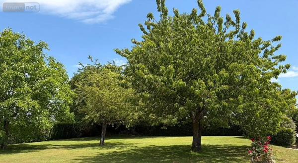 Achat - Maison | Pavillon Pouilloux 71230 6 pièces 132 m 2 2576 m 2