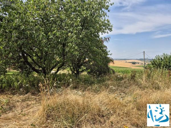 Achat - Maison Mortagne-au-Perche 61400 3 pièces 1 m 2