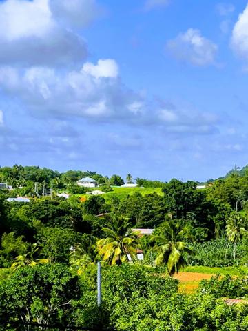 DUCOS MORNE VERT MAISON DE 136 M2