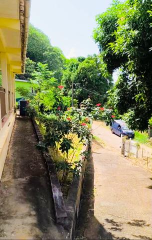 DUCOS MORNE VERT MAISON DE 136 M2