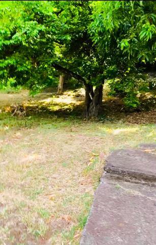 DUCOS MORNE VERT MAISON DE 136 M2