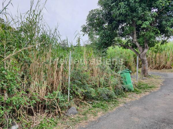 TERRAIN 1000 m², SAINT JOSEPH VINCENDO