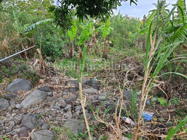 TERRAIN 1000 m², SAINT JOSEPH VINCENDO