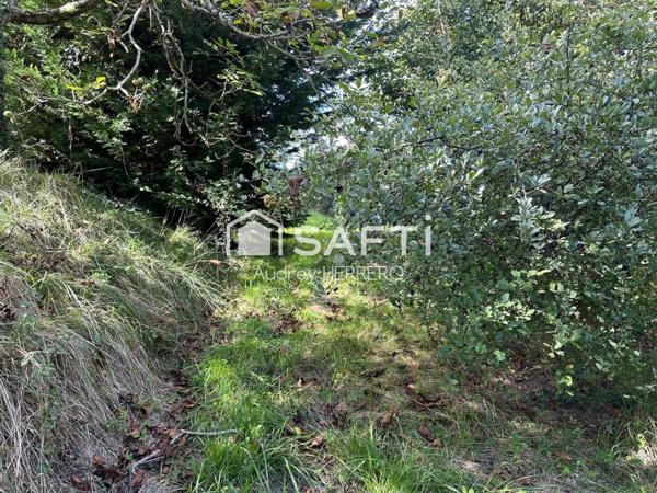 Terrain à bâtir non viabilisé de plus de 2600m² - BOULOC